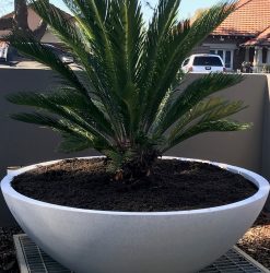 Lightweight Terrazzo Pots