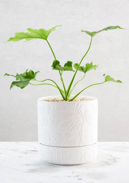 Folia-Relief-Plant-Pot-White