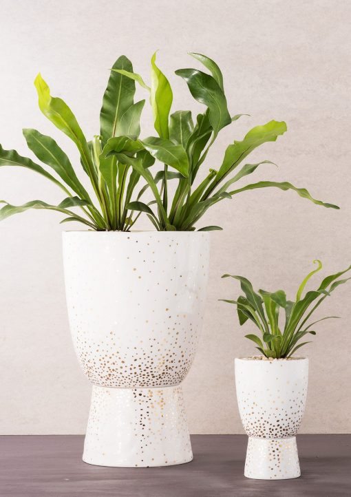 Plant-Stand-Pot-Gold-Speckle-Large-and-Small