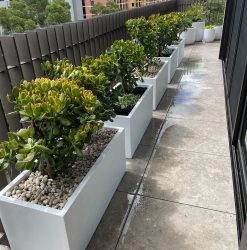 Trough Planters