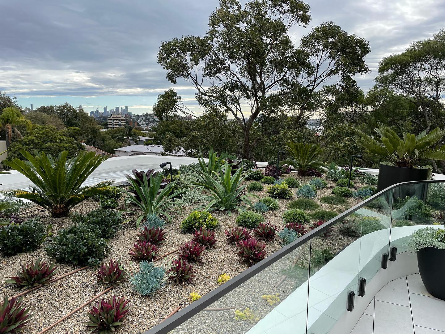 rooftop garden design Sydney - Mosarte Garden Living