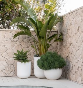 Outdoor Pots By Mosarte Garden Living