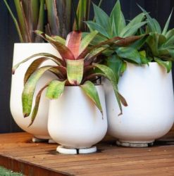 Sienna Lightweight Planter Pots Range By Mosarte Garden Living