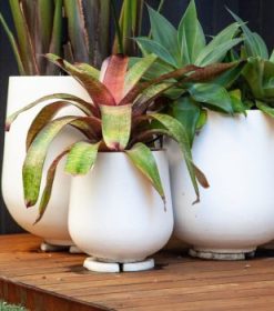 Sienna Lightweight Planter Pots Range By Mosarte Garden Living