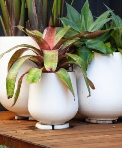 Sienna Lightweight Planter Pots Range By Mosarte Garden Living
