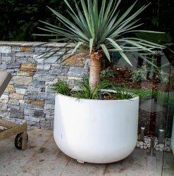 Tubby Stubby Lightweight Outdoor Pot By Mosarte Garden Living