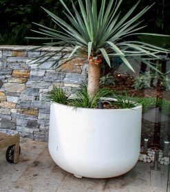 Tubby Stubby Lightweight Outdoor Pot By Mosarte Garden Living