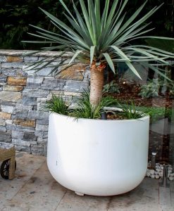 Tubby Stubby Lightweight Outdoor Pot By Mosarte Garden Living