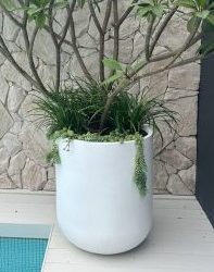 Tubby Tall Lightweight Pot By Mosarte Garden Living