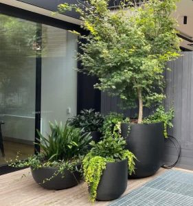 Tubby Lightweight Outdoor Pots | Small Garden Design Sydney