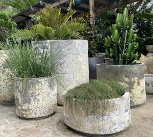 woodfired Stone cylinder Planters By Mosarte