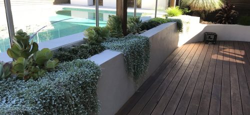 Landscape Design Northern Beaches Sydney NSW - Mosarte Garden Living