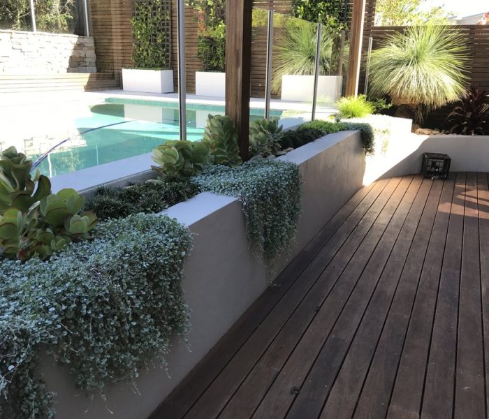 Landscape Design Northern Beaches Sydney NSW - Mosarte Garden Living