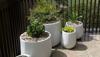 Lightweight Pots By Mosarte Garden Living
