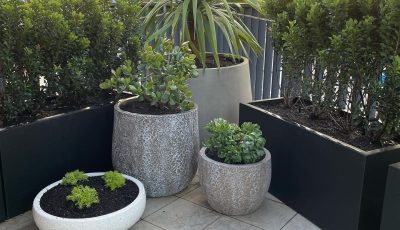 Balcony Garden Design Sydney - Mosarte Garden Living
