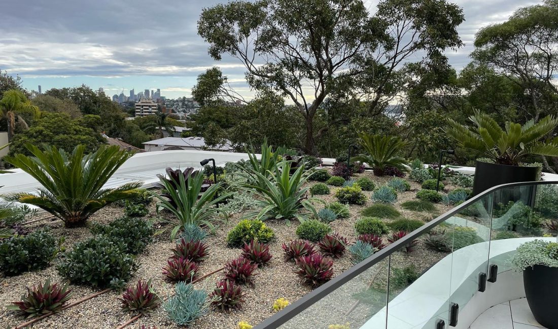 rooftop garden design Sydney - Mosarte Garden Living